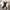 Sherry Vest Sweater Sets - Label Frenesi Fashion