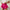 Stella Shorts - Label Frenesi Fashion