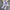 Theo Ombre Sets - Label Frenesi Fashion