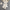 Travis Knit Co-ord Sets - Label Frenesi Fashion