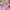 Vanessa Co-ord Sets - Label Frenesi Fashion