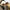 Vienna Sunglasses - Label Frenesi Fashion