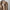 Voila Trench Coats - Label Frenesi Fashion