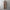 Voila Trench Coats - Label Frenesi Fashion