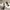Wang Embellished Heels - Label Frenesi Fashion