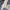 Whitney Sets - Label Frenesi Fashion